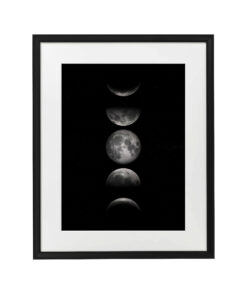 MOON SHADE